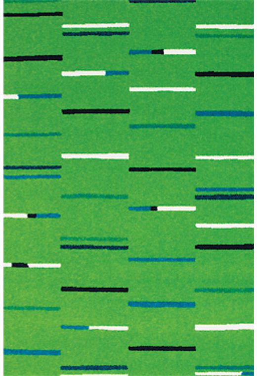 Ковер CITY 03AKA