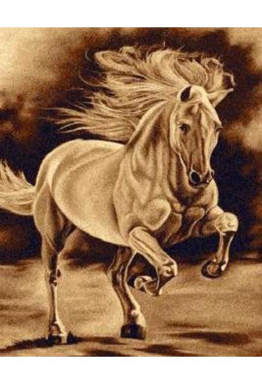 Ковер PRACTICA 27BDB