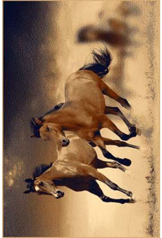 Ковер PRACTICA 29EBE