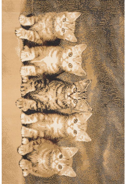 Ковер PRACTICA 31BDB