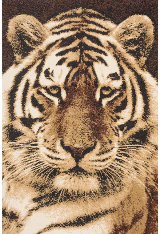 Ковер PRACTICA 34DBD