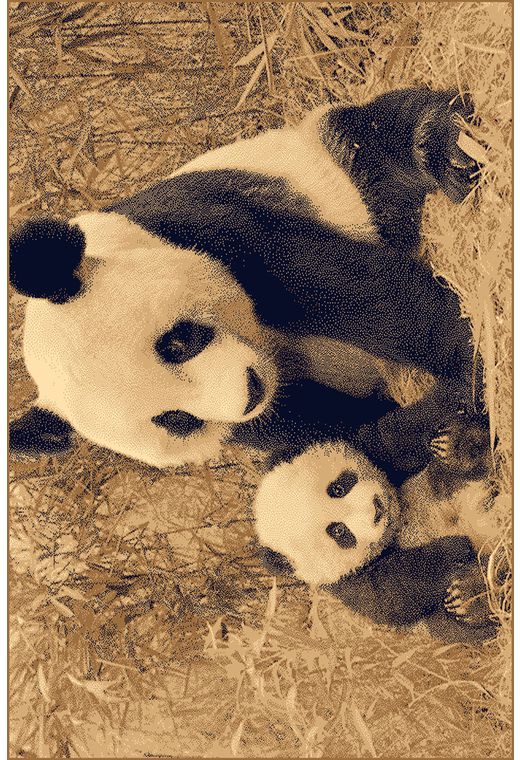 Ковер PRACTICA 39BVB