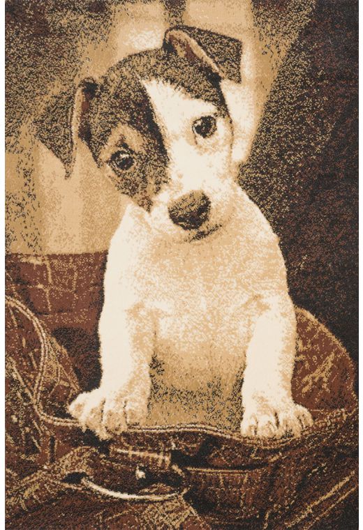 Ковер PRACTICA 46DBD